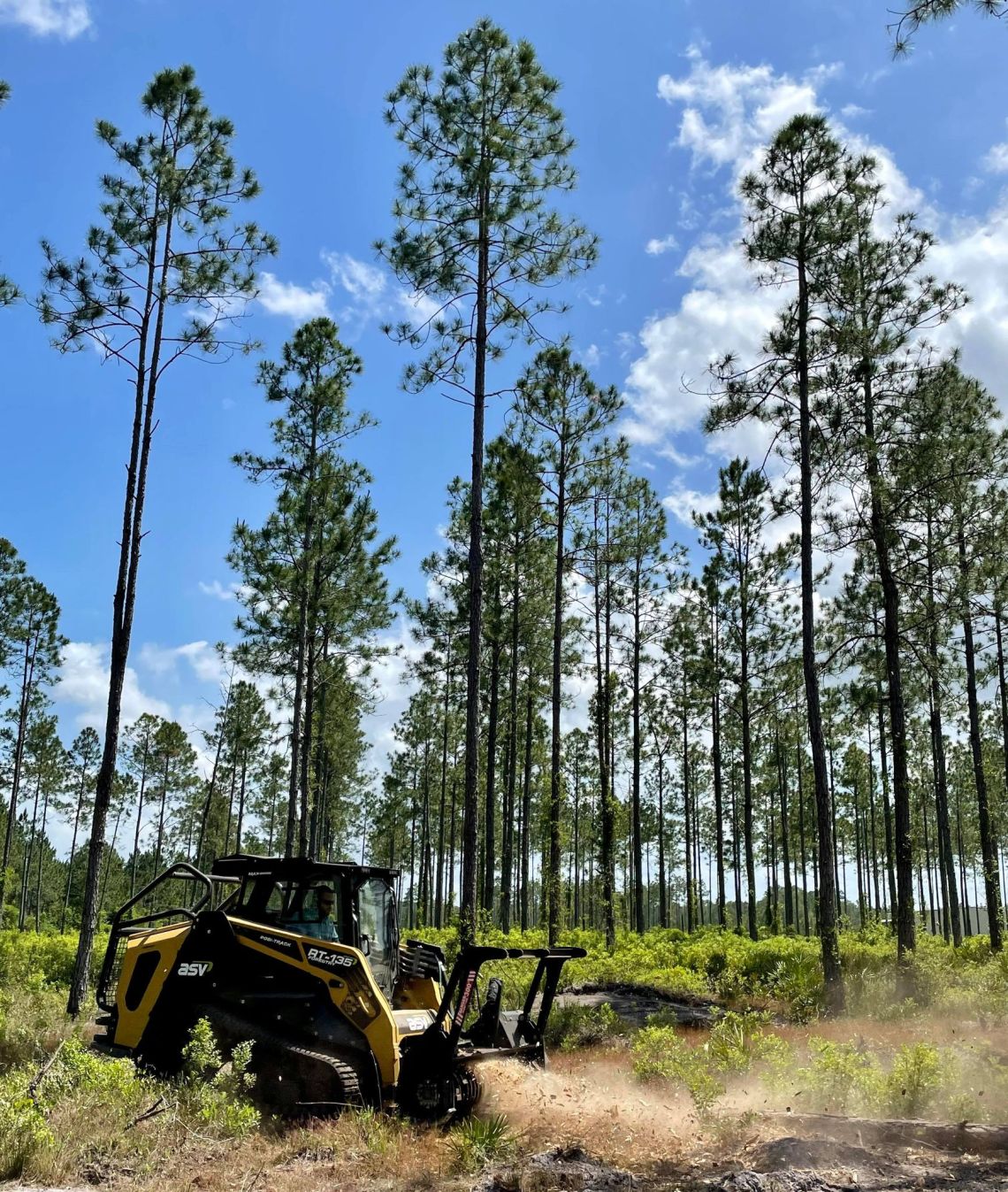 Forestry mulcher clearing land