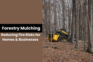 Forestry Mulching Reducing Fire Risks for Homes & Businesses