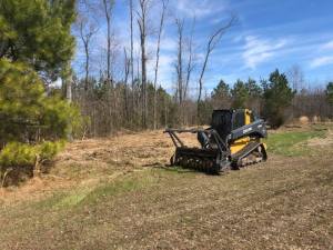 Top Benefits of Forestry Mulching for Soil Health