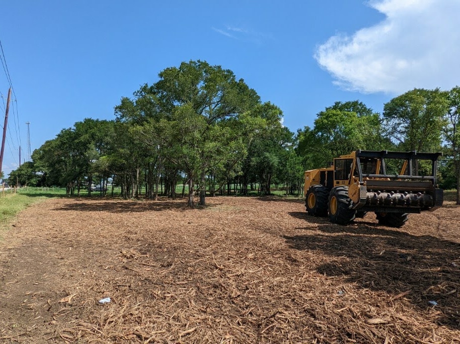 Blue Ridge Alabama Land Clearing