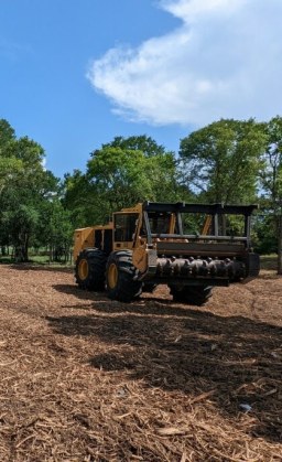 Land clearing and brush removal services