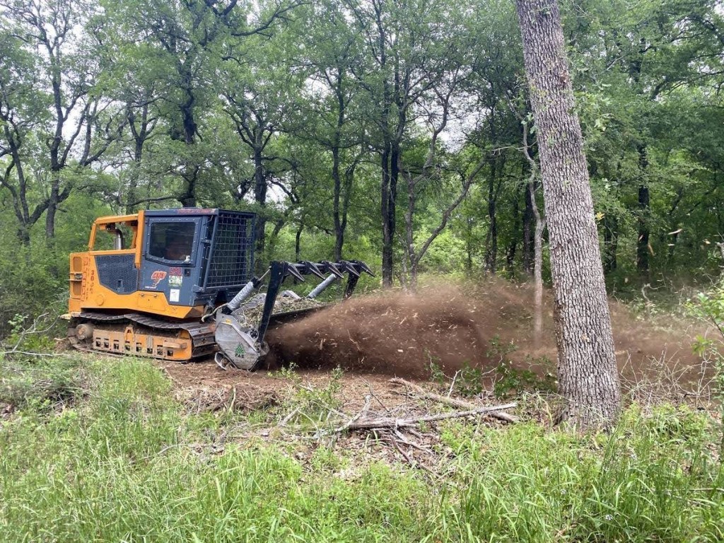 Reason forland clearing |