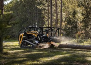 Tips for Maintaining Your Property After Land Clearing