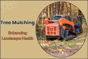 Tree Mulching Services Enhance Your Landscape’s Health and Aesthetics