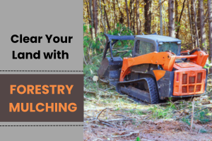 Clear Your Land with Forestry Mulching