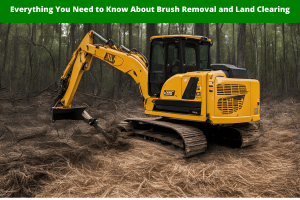Everything You Need to Know About Brush Removal and Land Clearing