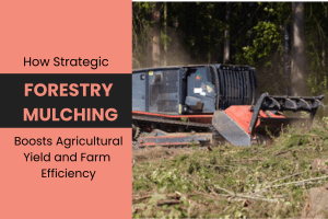 How Strategic Forestry Mulching Boosts Agricultural Yield and Farm Efficiency