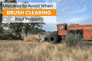 Brush Clearing